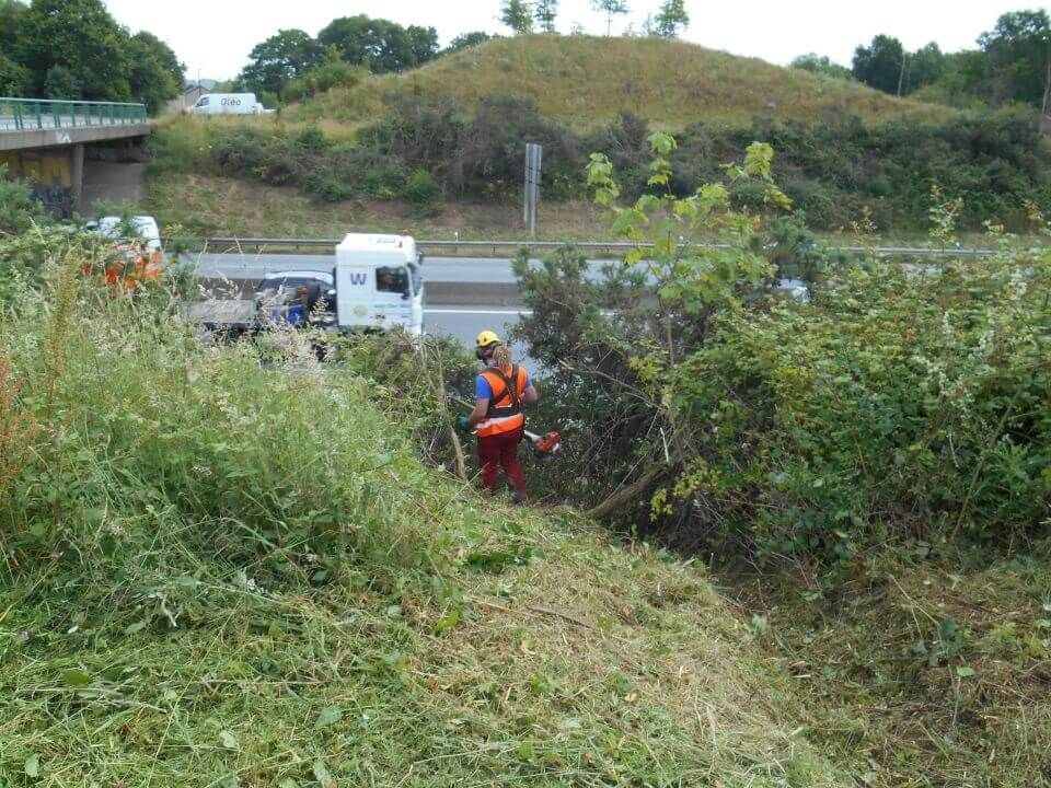 Travaux débroussaillage DIRO Rennes SERPE.JPG