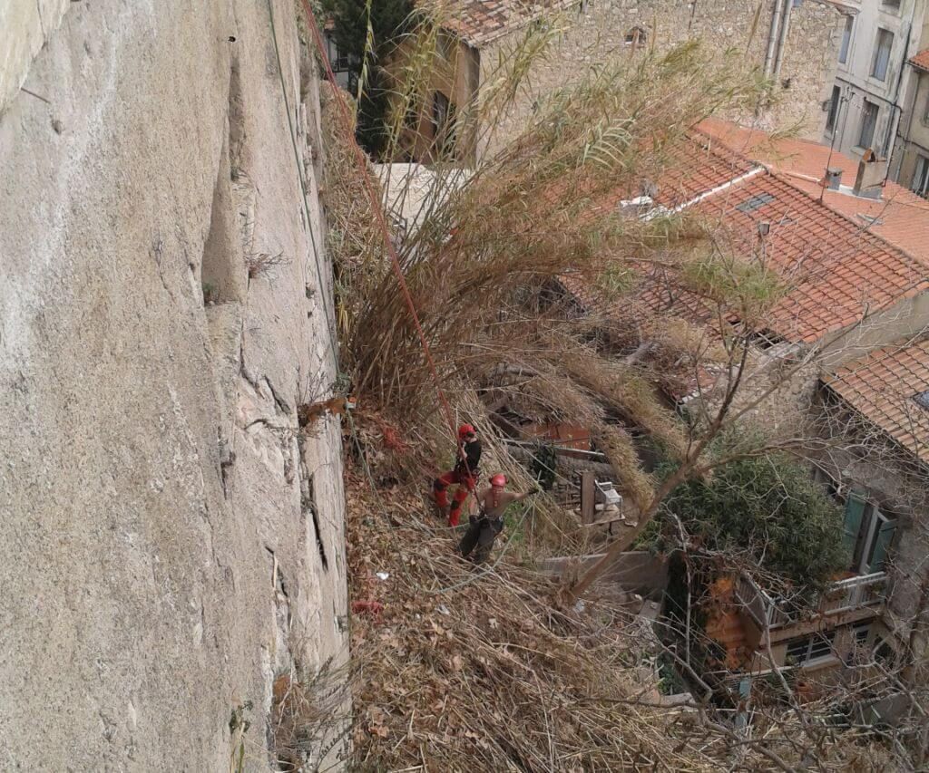 042 - Béziers Canterellettes débroussaillage encordée.jpg