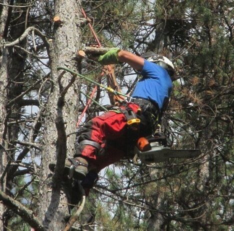 debroussaillement acrobatique.jpg