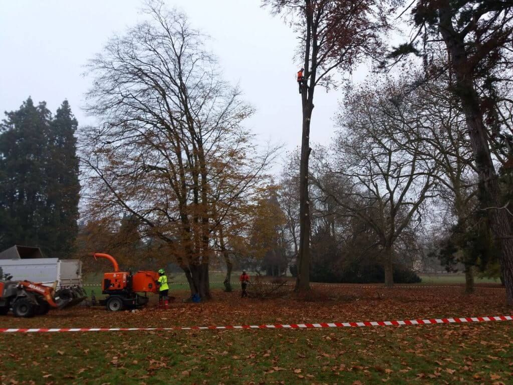 SEM - Unep, Abattage chateau Rambouillet, 2.jpg