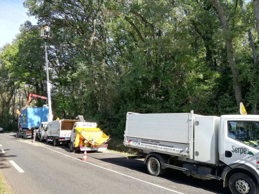 Toulouse, Elagage et abattage bord de route à Lévignac .jpg