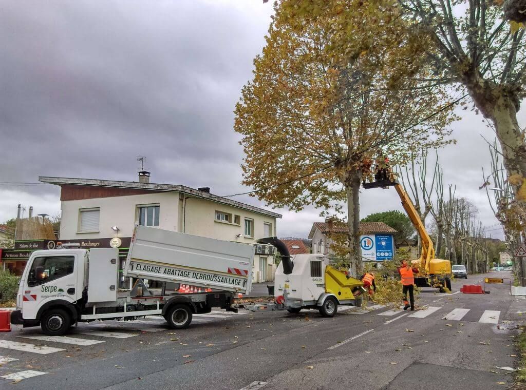 Toulouse, Elagage 174 platanes, Pamiers, Carrousel.jpg