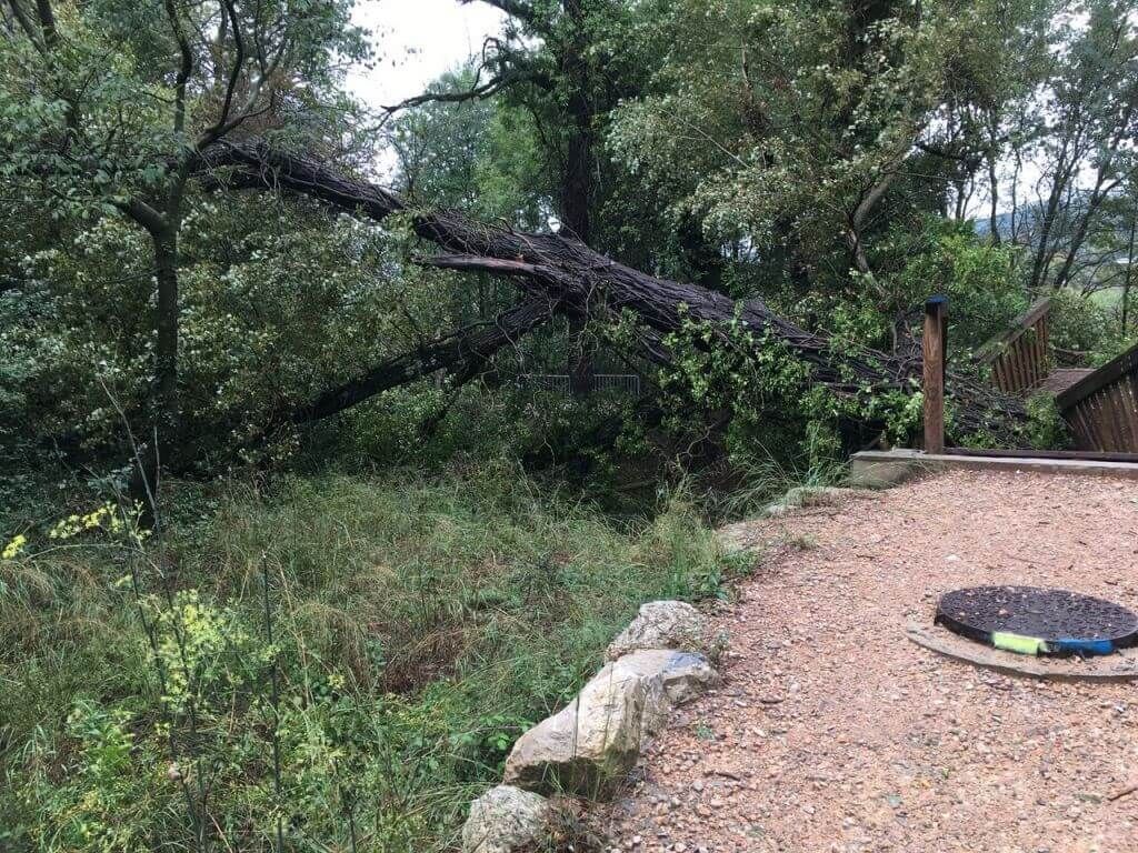 Toulon, Intervention d'urgence peuplier déraciné sur pacerelle, Cannet-des-Maures, Carrousel.jpeg