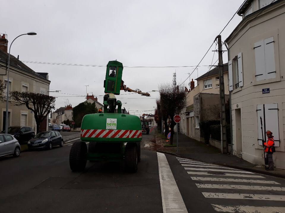 SEM - Taille en rideau Châteauroux, Carrousel.jpeg