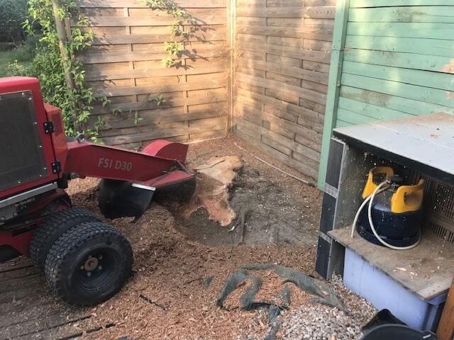 Perpignan, Dessouchage d'un mélia chez un particulier à Baho - Carrousel.jpg