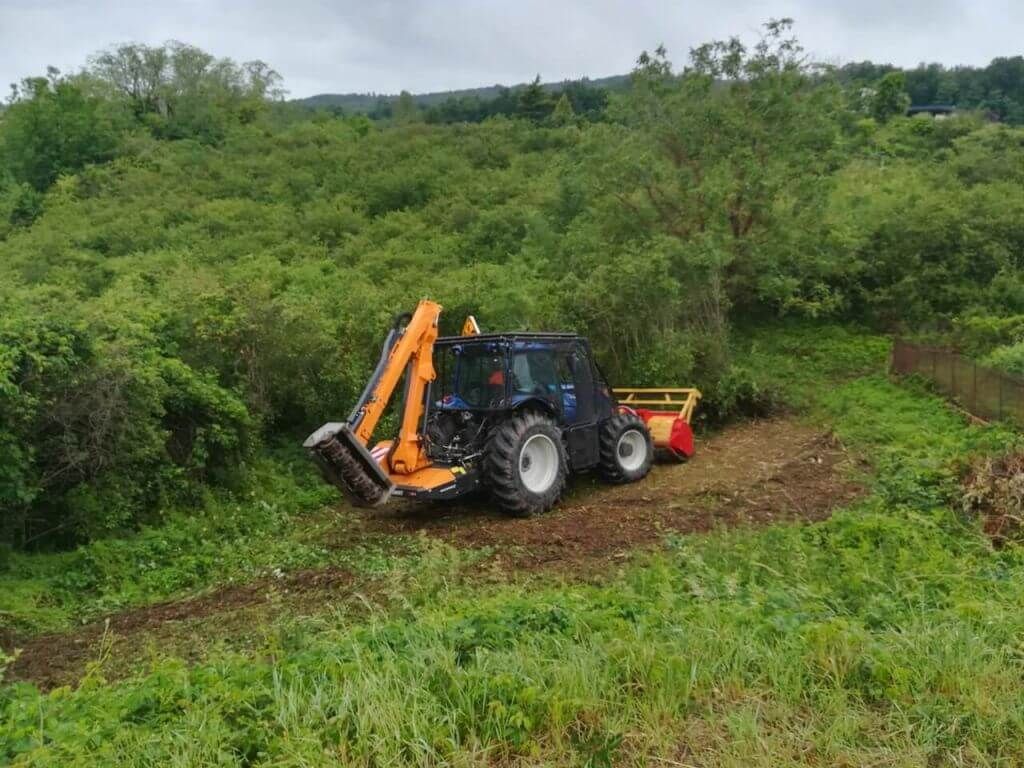 Lyon, Débroussaillage terrain a ̀ bâtir, Charlieu - TRAVAIL.jpeg