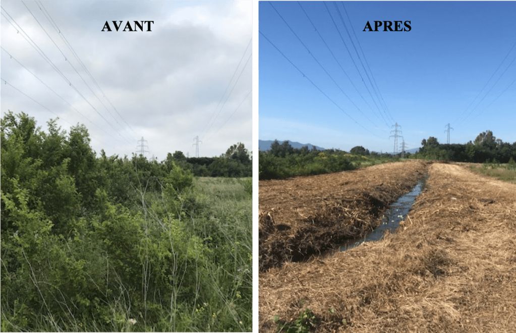 Perpignan, Débroussaillage canaux d'irrigation, Cabestany.png