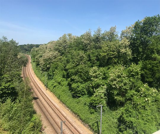 2020-10-serpe-saint-lo-amien-rouen-sncf-mise-en-securite-talus.png