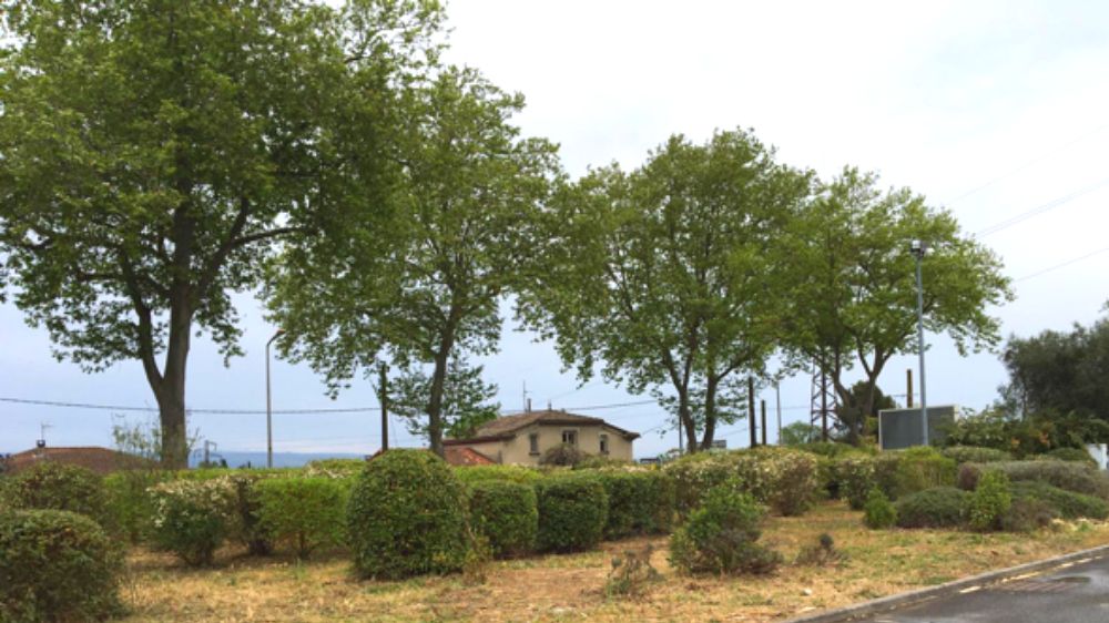 Remise en état d’espaces verts - ALDI - Serpe Carcassonne.png