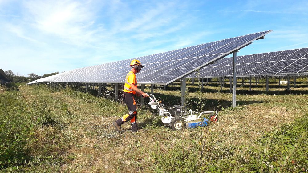 Serpe - Débroussaillage manuel sous-table et inter-table d'un champ photovoltaïque 1.png