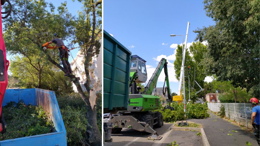 Serpe Montpellier - Dégagement d'emprises foncières pour la création de la ligne 5 du tramway de Montpellier (34) 1.png