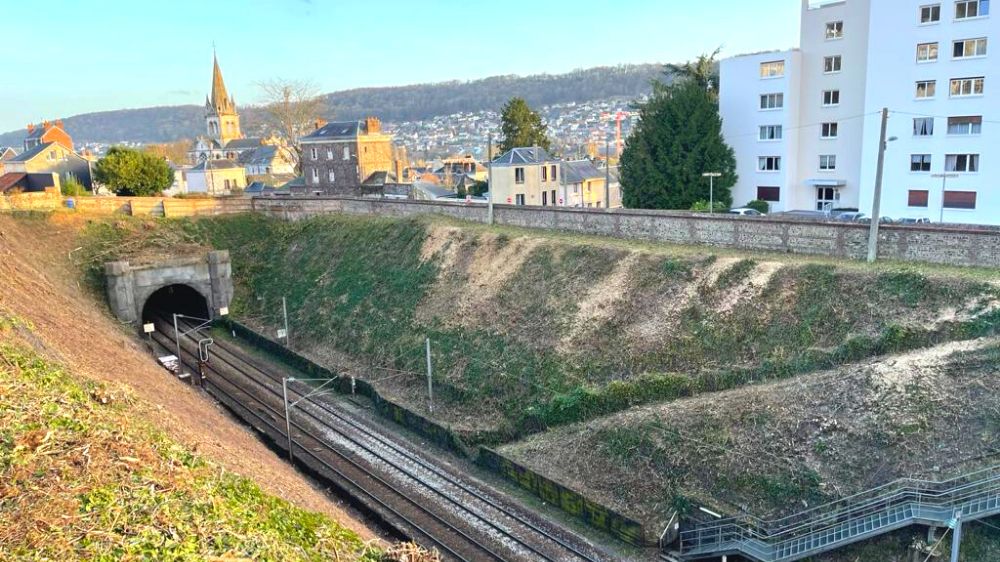 Serpe Limoges - Débroussaillage et abattage encordé tunnel Beauvoisine Rouen 1.png