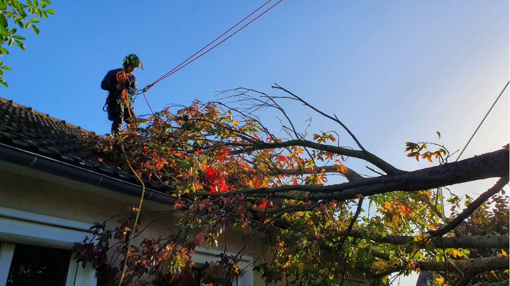 SEM Espaces Verts - Abattage d'un arbre tombé sur une maison à Fontenay Le Fleury (78).png