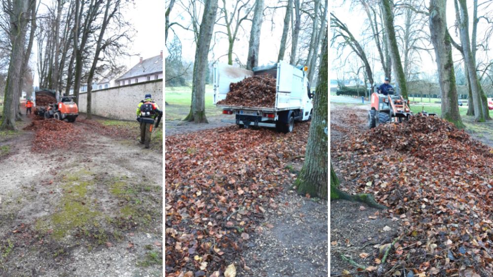 Ramassage de Feuilles Domaine de Rambouillet.png