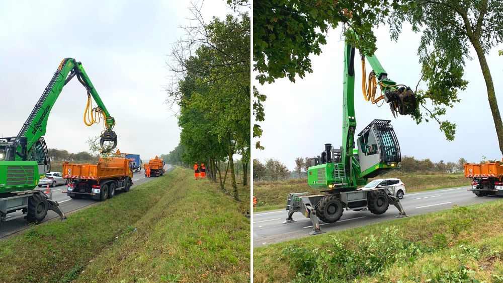 Serpe Nemours - Abattage arbres secs.png