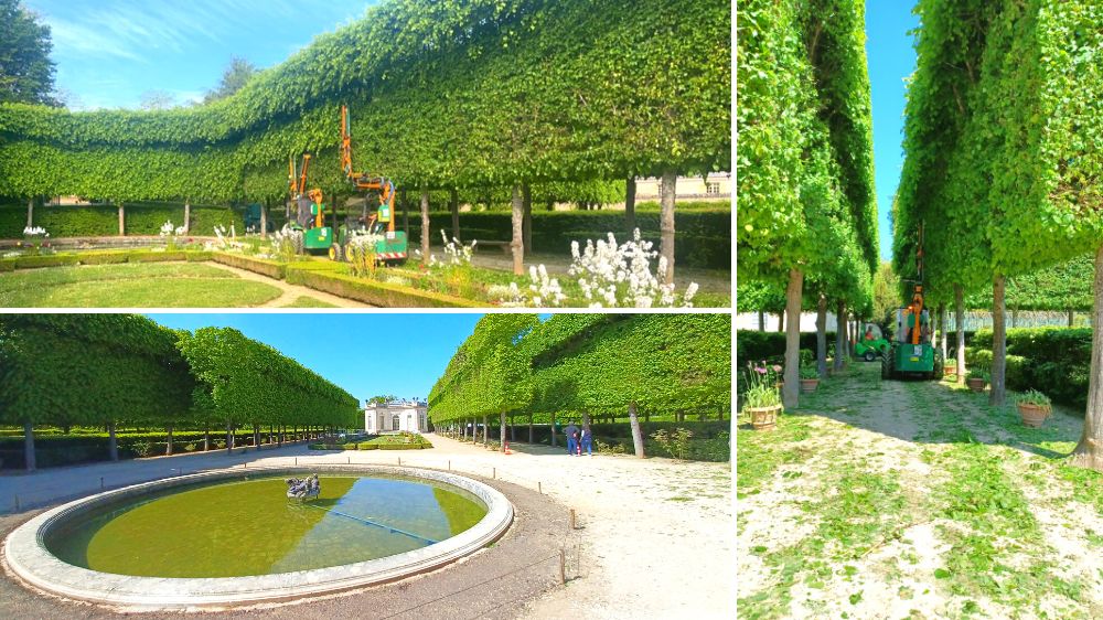 SEM - Versailles - Taille architecturée Château de Versailles - 2022.png